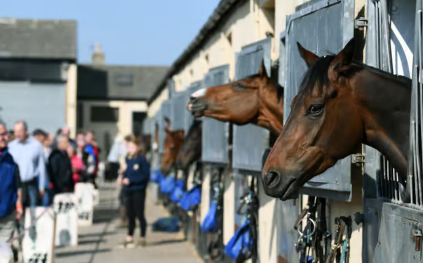 Behind the Scenes: Life at a Racing Stable