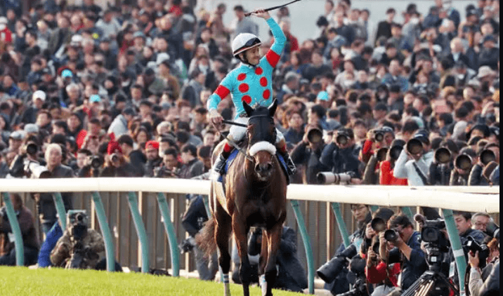 Exploring Horse Racing in the Middle East